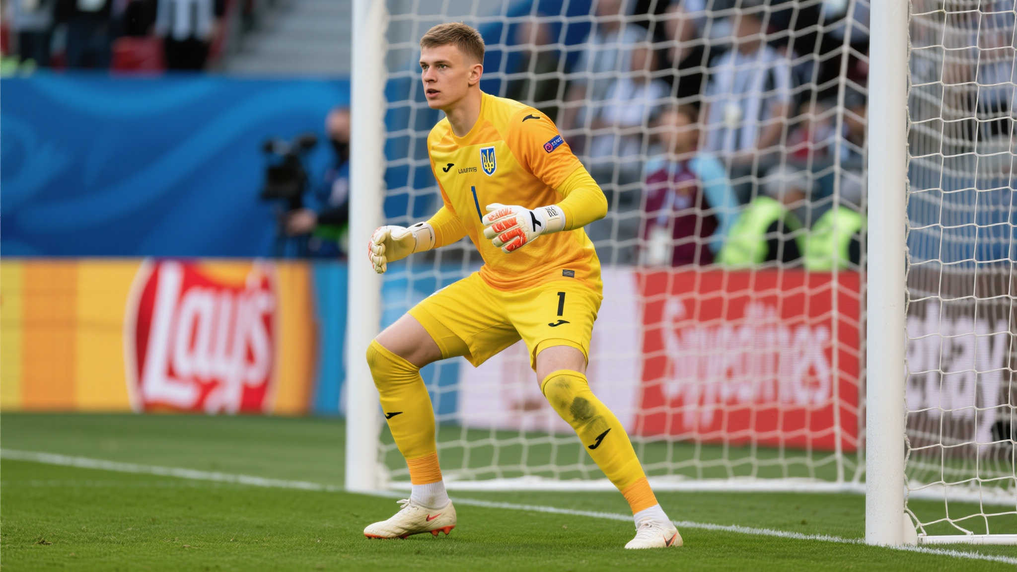 这样的巨星 这样的巨星